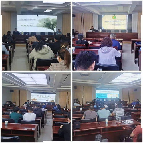 烏拉特后旗衛健委舉辦蒙中醫適宜技術培訓班 推進技術推廣服務