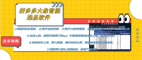 拼多多店群生態全解析 軟件代理、后臺招商與加盟機遇